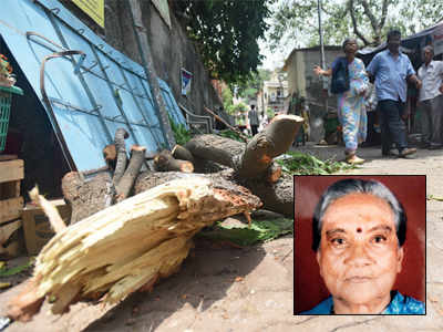 Ashoka tree branch crushes 91-year-old