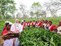 Modi&rsquo;s tea garden outreach sets tone for Assam campaign