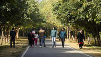 After 2-year delay, Gurgaon&rsquo;s biodiversity park set for upgrade with library-cum-amphitheatre