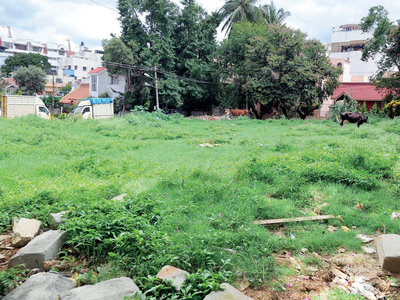 They drink like fish, smoke up like a chimney in Bengaluru's RT Nagar