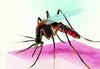 Man with dengue dies in Kaikhali