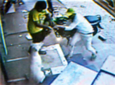 Stray’s savage killing caught on CCTV cam