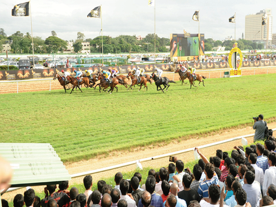 Bengaluru: It’s Trafalgar vs Tenno Sho