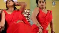 Watch: Bhojpuri song 'Bas Raat Bhar' from 'Maai Ke Ancharwa Babuji Ke Dular' Ft. Ritu Singh and Babloo Rai 
