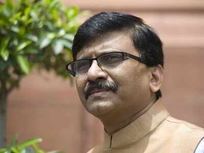 'Bhaad mein gaya kaanoon': Sanjay Raut on Model code of conduct