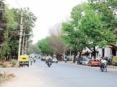 The favourites: Does BBMP have ward bias?