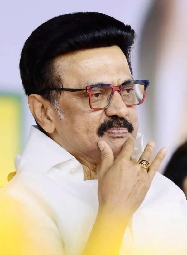 TVK govt may collapse any time: Stalin