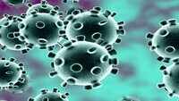 COVID-19 death rate 1.87% in Rajasthan, lower than national average: State Health Minister 