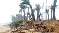 Cyclone Fani: Odisha CM demands special status; appeals for donation 