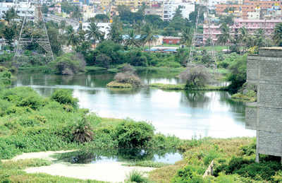 MNC, tech parks ate into Bengaluru lakes