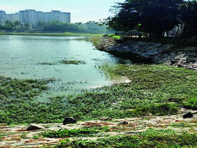 Dirty water red alert at Chunchaghatta Lake