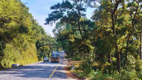 Road trip to Shillong: Why I will never go on one ever again