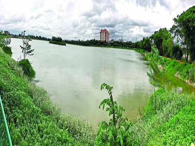 Lake biodiversity in danger