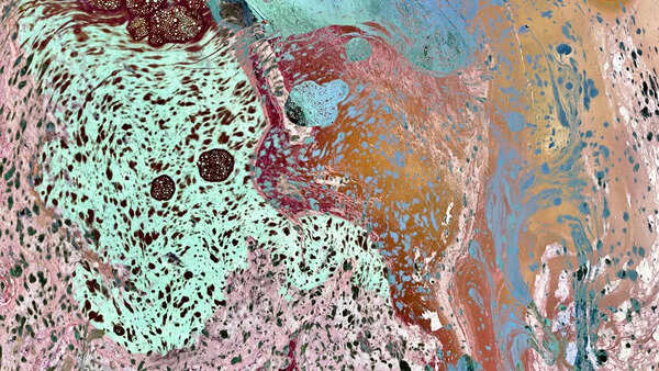 Salt Lines: A forgotten 4,000-km 'living border' reappears in a Mumbai museum