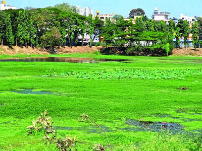 BM Stands For City Of Lakes: Lakes under siege