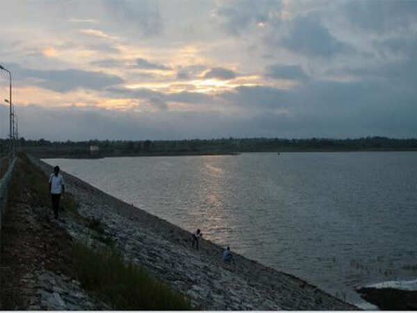 Stripped of green cover, 70% of rivers in the red