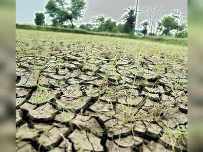 CM Devendra Fadnavis declares drought-like situation in 180 talukas of Maharashtra