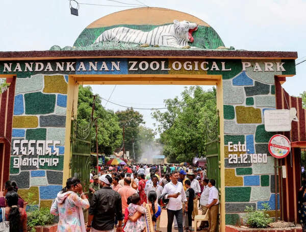 Nandankanan zoo to get four cheetahs from South Africa park