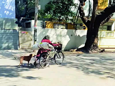 Malleswaram Mirror Special: Dogs’ best friend