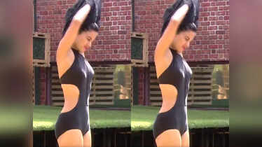 Bigg Boss: Bikini babes of the house over the years