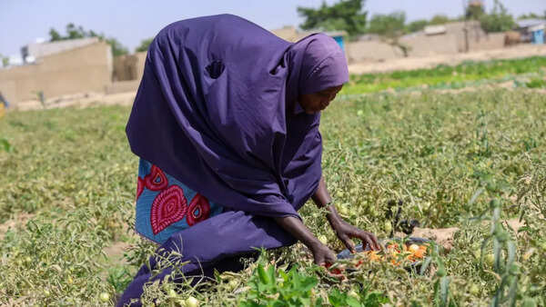 Nigeria sweats in heatwave as Iran war drives up costs to stay cool