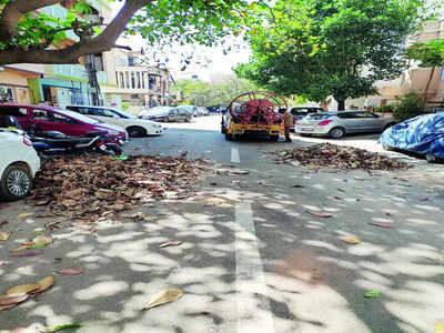 Banaswadi in leafy trouble