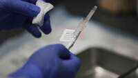 If govt decides, Covid-19 vaccine's emergency authorisation could be considered: ICMR to parliamentary panel 