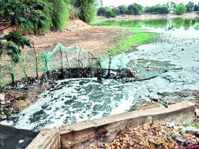 Influx of sewage has ruined pristine Sheelavantha Lake