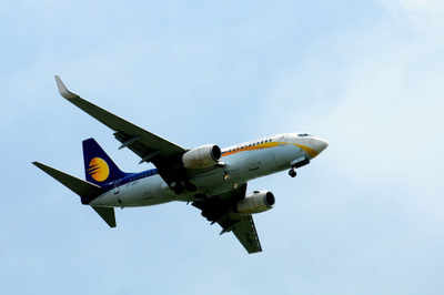 Jet Airways aircraft suffers bird hit in Kathmandu