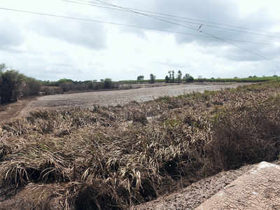Sugar dearer owing to floods, drought