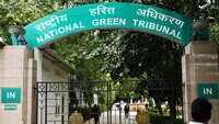 Submit report on 'Neela Hauz' lake: NGT directs DDA 