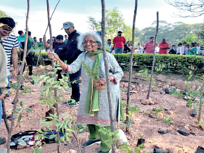 8,000 new saplings for Ulsoor