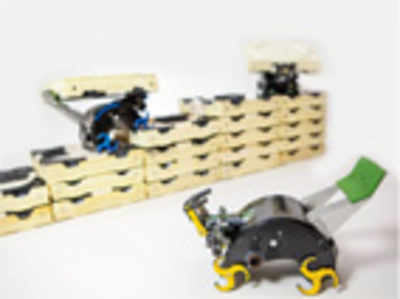 Termite-inspired bots play Bob the Builder