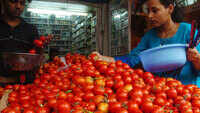 Wholesale tomato price soars to Rs 60 in Delhi 