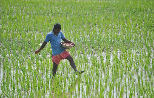 Use function halls, rythu bazaars to store paddy, says Revanth Reddy