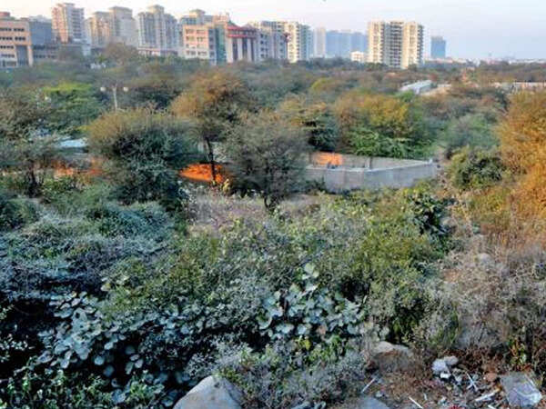 Faridabad DM orders demolition in Aravalis but no action yet