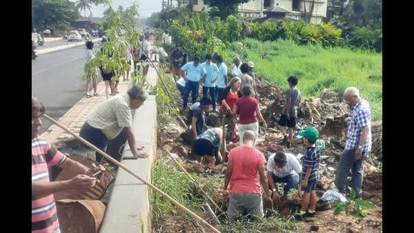 Green initiative: Over 100 volunteers plant 68 trees in Mapusa after road widening felling