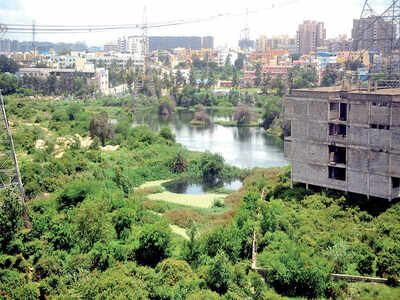 BBMP promise: 19 lakes to be revived by June