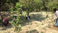 New agri reforms will break chain of middlemen: Kanpur farmers 