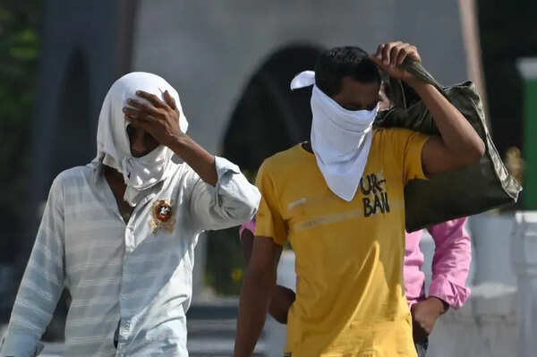 TN govt hospitals brace for heatstroke patients