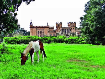 Tap The Chatter: Which historical site or landmark in Bengaluru do you find most fascinating?