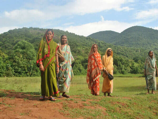 Tribal ministry recommends indigenous trees, gram sabha consent for compensatory afforestation projects