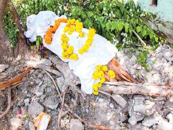 Activists decry felling of trees, lack of footpaths