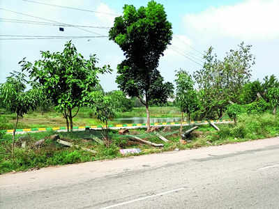 No boundaries, no rules at Avalahalli Lake