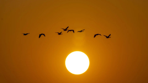 In North India, short winter doesn't always lead to searing summer