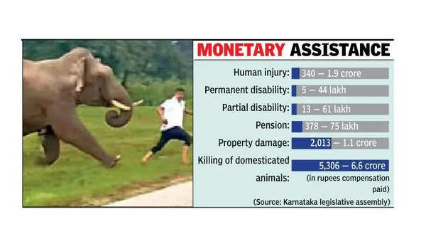 Karnataka sees 53 wildlife-attack deaths in 11 months