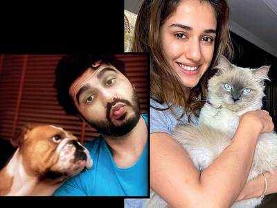 Of pet projects: Disha Patani, Arjun Kapoor, Huma Qureshi, Sanya Malhotra, Richa Chadha, Shruti Haasan, Amit Sadh sought succour in furry friends during the lockdown