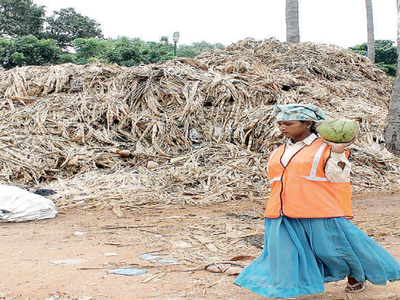 BBMP plans to bio-mine its way out of garbage