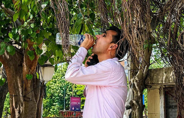 Gurgaon swelters as temperatures stay high, change likely from Tuesday