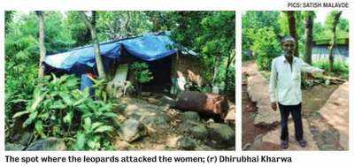 Two women attacked by leopards in Aarey